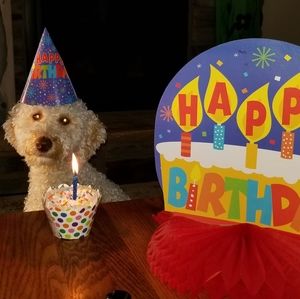 Meet your Posher, Lisa